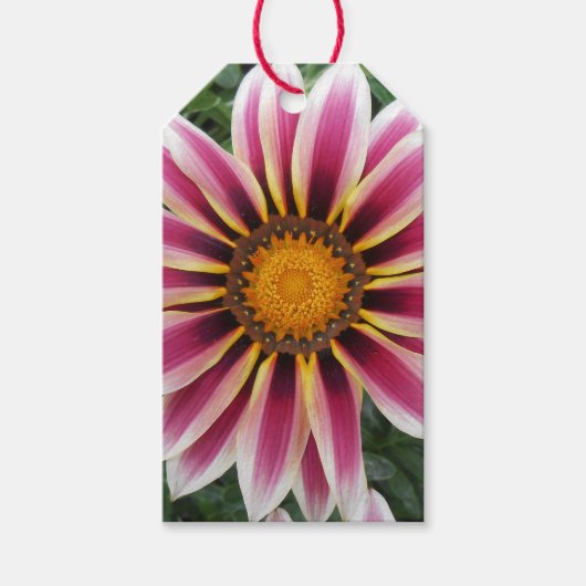 Hereford Cadeaulabel (Voorkant)