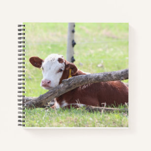 Hereford Calf Notitieboek