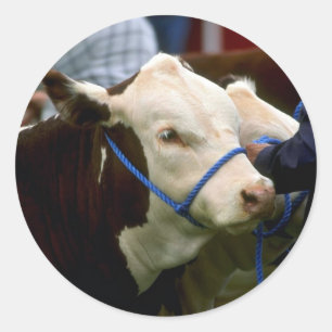Hereford Cattle Ronde Sticker