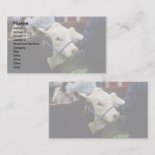 Hereford Cattle Visitekaartje (Voorkant / Achterkant)