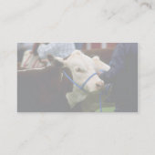 Hereford Cattle Visitekaartje (Achterkant)