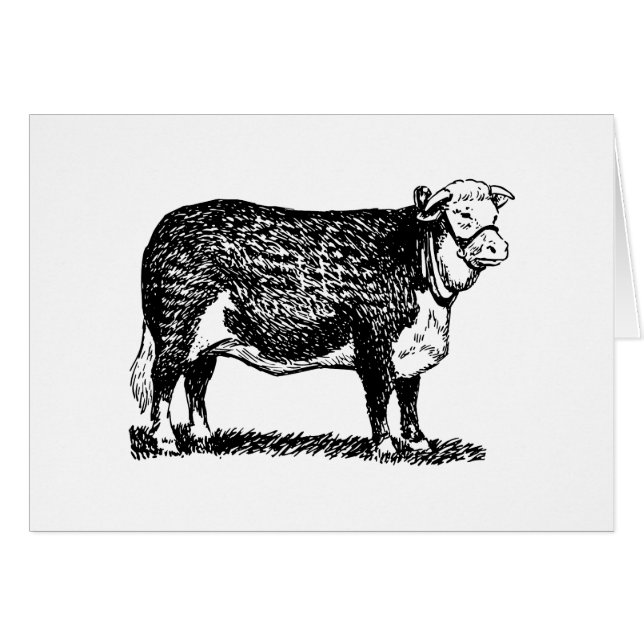 Hereford Cow (Voorkant Horizontaal)