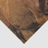 Hereford Cow Baby at Field Landscape Tissuepapier (Detail)