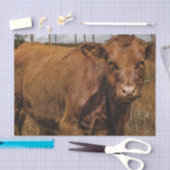 Hereford Cow Baby at Field Landscape Tissuepapier (Craft)