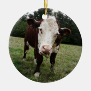 Hereford Cow Stikking Out Tongue Keramisch Ornament