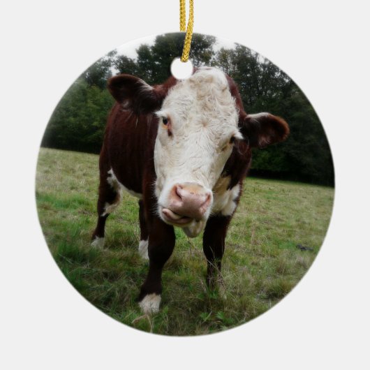 Hereford Cow Stikking Out Tongue Keramisch Ornament (Voorkant)