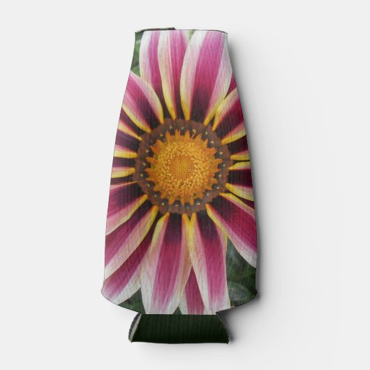 Hereford Flesjeskoeler (Voorkant)