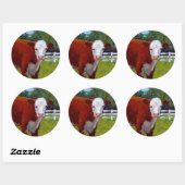 HEREFORD HEIFER KOE ART RONDE STICKER (Vel)
