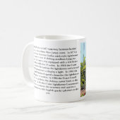 Hereford Inlet Lighthouse, New Jersey Mok (Voorkant links)