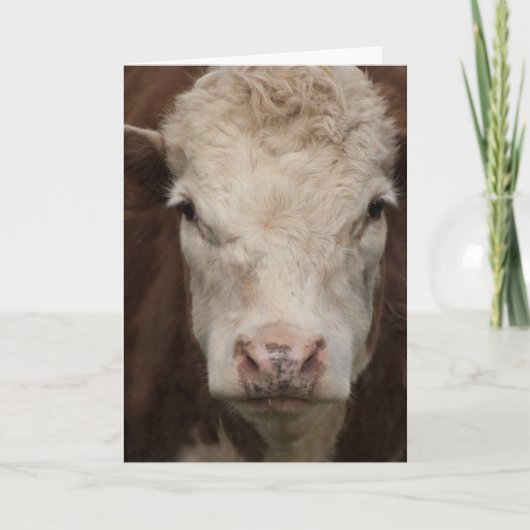 Hereford Kaart (Voorkant)