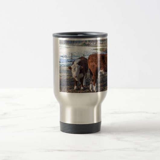 Hereford-kalveren in winterweide met sneeuw reisbeker (Center)