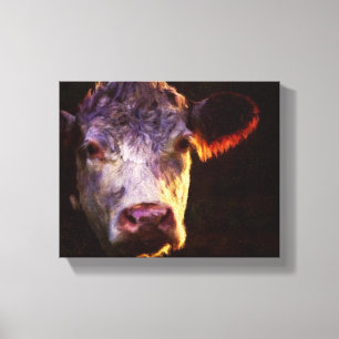 Hereford Koe Canvas Kunst