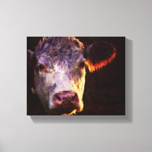 Hereford Koe Canvas Kunst (Voorkant)