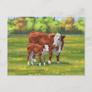 Hereford-Koe en Cute Calf in zomerperiode Briefkaart