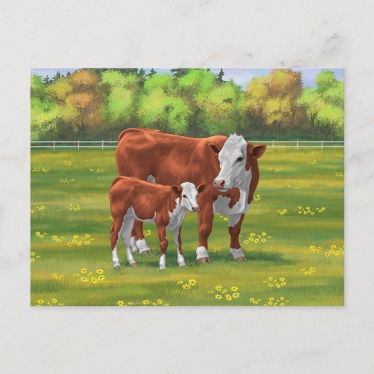 Hereford-Koe en Cute Calf in zomerperiode Briefkaart (Voorkant)