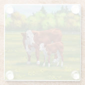 Hereford-Koe en Cute Calf in zomerperiode Glazen Onderzetter (Achterkant)