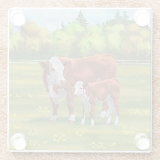 Hereford-Koe en Cute Calf in zomerperiode Glazen Onderzetter (Achterkant)