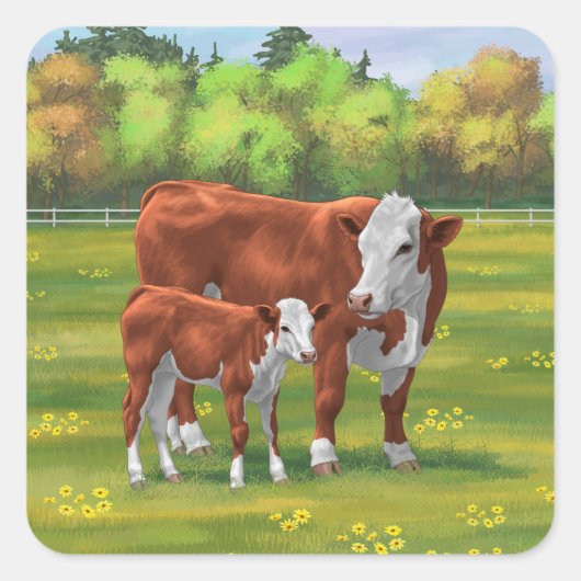 Hereford-Koe en Cute Calf in zomerperiode Vierkante Sticker (Voorkant)
