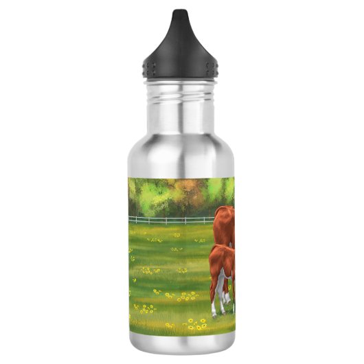 Hereford-Koe en Cute Calf in zomerperiode Waterfles (Links)