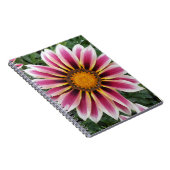 Hereford Notitieboek (Rechterzijde)