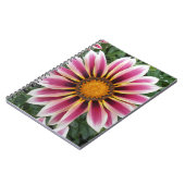 Hereford Notitieboek (Linkerzijde)