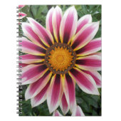 Hereford Notitieboek (Voorkant)