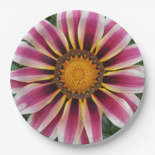 Hereford Papieren Bordje