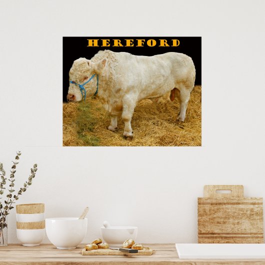 hereford poster (Keuken)