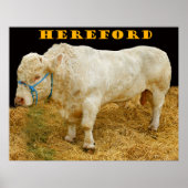 hereford poster (Voorkant)