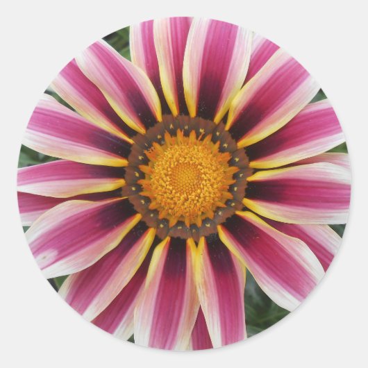 Hereford Ronde Sticker (Voorkant)