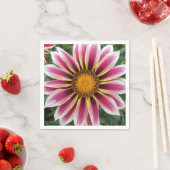 Hereford Servet (Insitu)