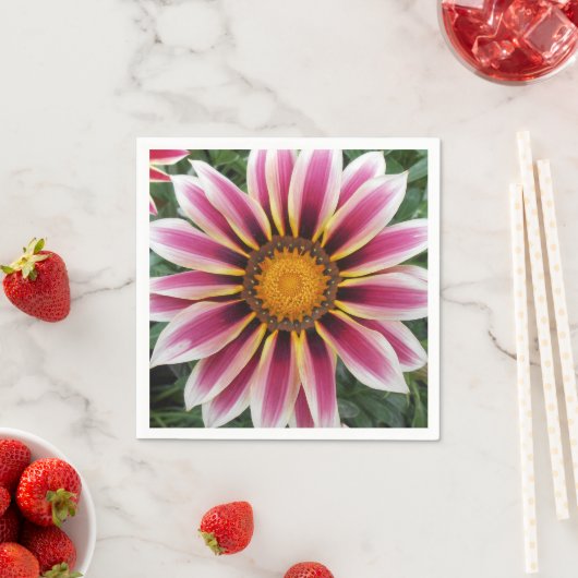 Hereford Servet (Insitu)