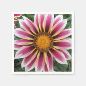 Hereford Servet (Voorkant)