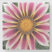 Hereford Stenen Onderzetter (Voorkant)