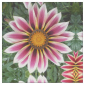 Hereford Stof (Close Up)