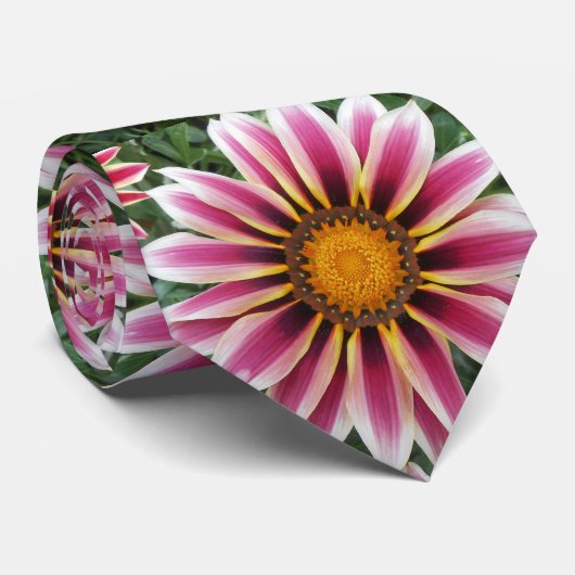 Hereford Stropdas (Opgerold)