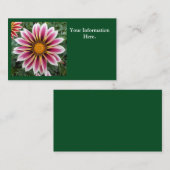 Hereford Visitekaartje (Voorkant / Achterkant)