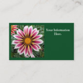 Hereford Visitekaartje (Voorkant)