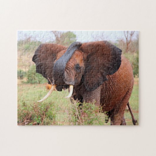 Heren borsten van de vlakken.Elephants Legpuzzel (Horizontaal)