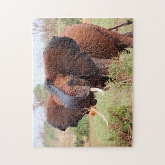 Heren borsten van de vlakken.Elephants Legpuzzel (Verticaal)