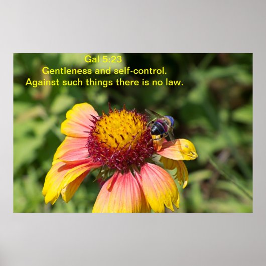 Heren en zelfbeheersing poster (Voorkant)