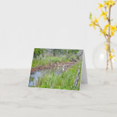 Heren in Tidal Creek OBX Note Kaart (Gele Bloem)