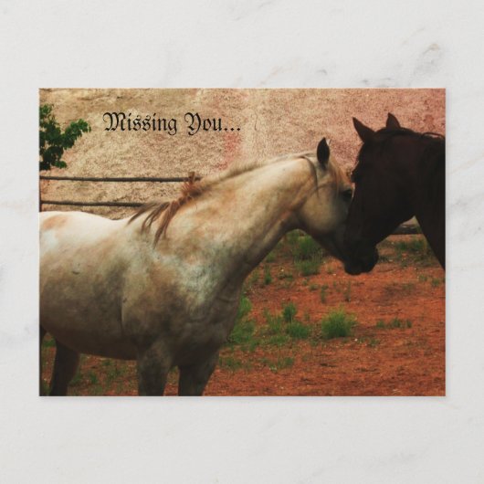 Heren Whisper... Briefkaart (Voorkant)