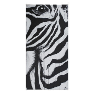Heren Zebra Wilde Dieren Afrikaanse Vlaktes Origin Foto Afdruk