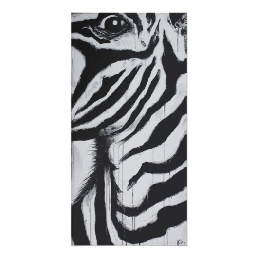 Heren Zebra Wilde Dieren Afrikaanse Vlaktes Origin Foto Afdruk (Voorkant)