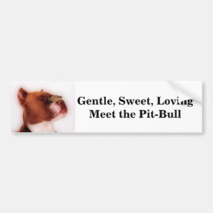 Heren, zoet, liefhebbend ontmoeten de Pit-Bull Bumpersticker