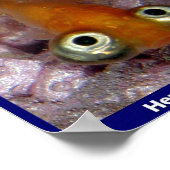 Heres Looking at You Poster (Hoek)