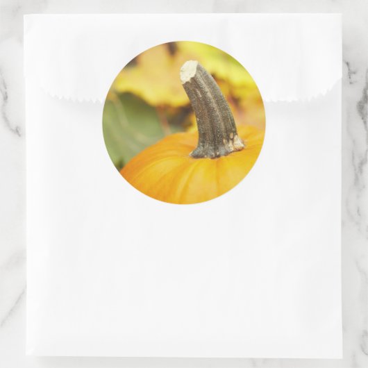 Herfsontwerp Ronde Sticker (Tas)