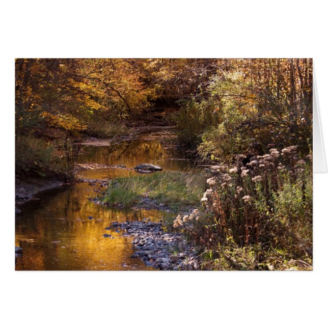 herfst (Voorkant Horizontaal)