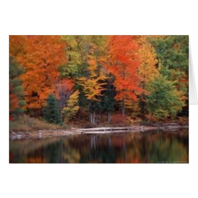 herfst2 (Voorkant Horizontaal)